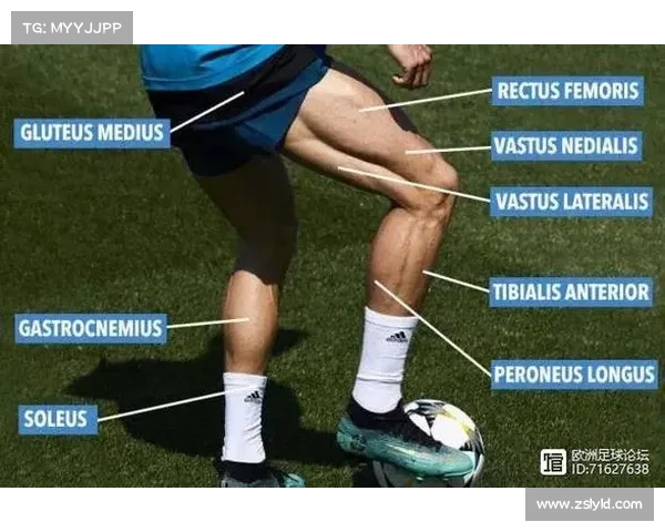 揭开足球运动员年薪背后的秘密与真实面貌分析